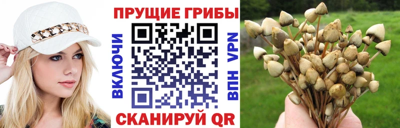 Псилоцибиновые грибы MAGIC MUSHROOMS  Солигалич 