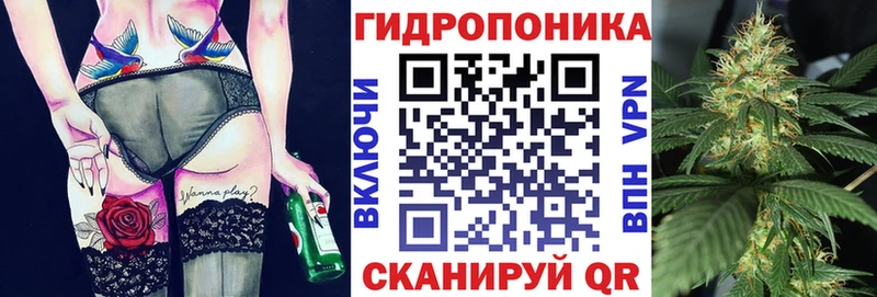 Бошки марихуана сатива  Солигалич 